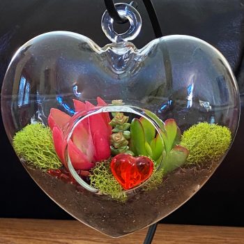 Sweetheart Terrarium Kit