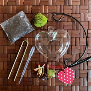 Sweetheart Terrarium Kit