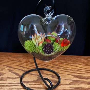 Sweetheart Terrarium Kit