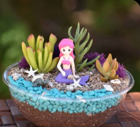 mermaid succulent planter Mermaid's Oasis Kit – Simply Succulents AZ