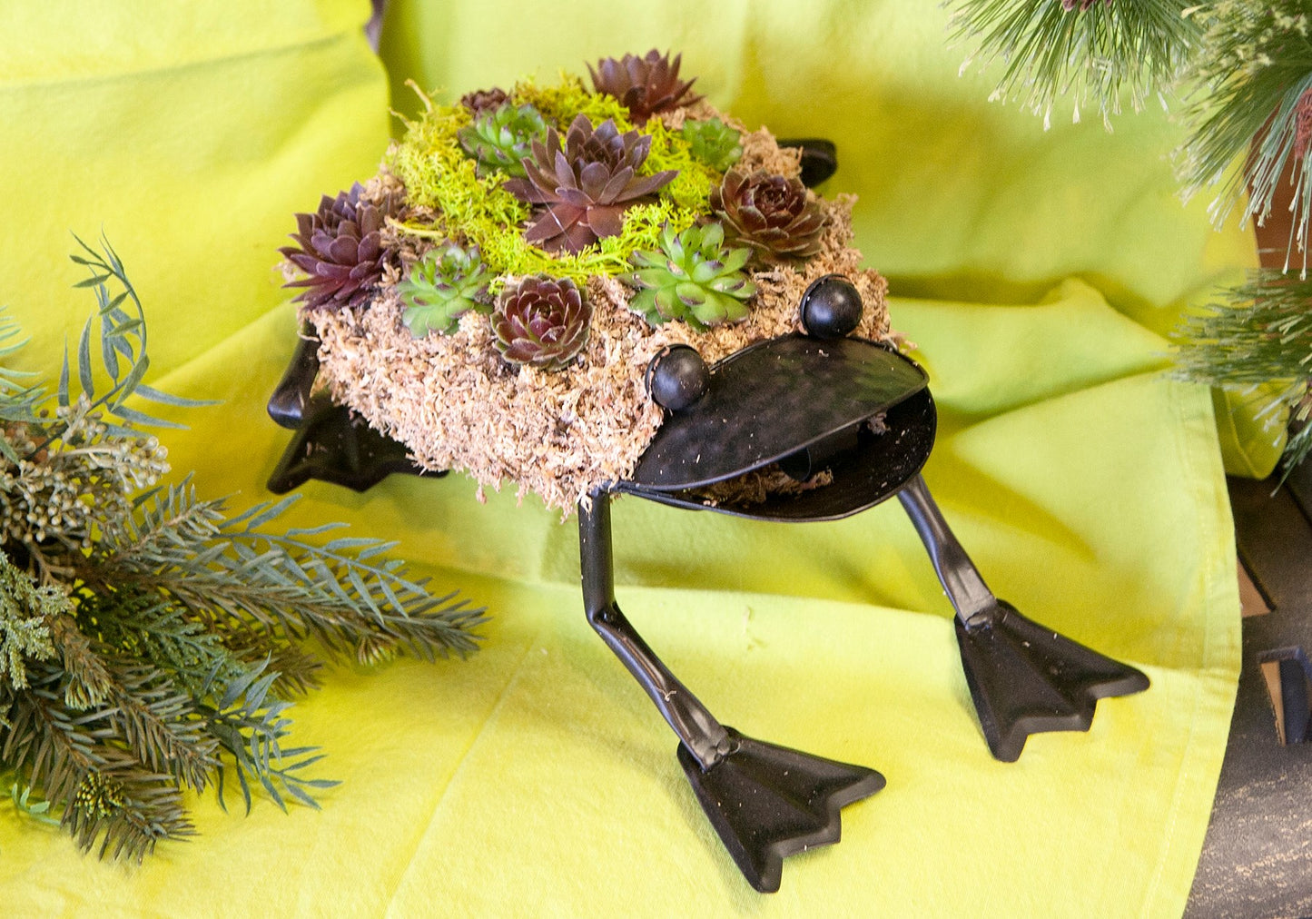 Frog Topiary Kit