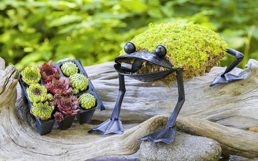 Frog Topiary Kit