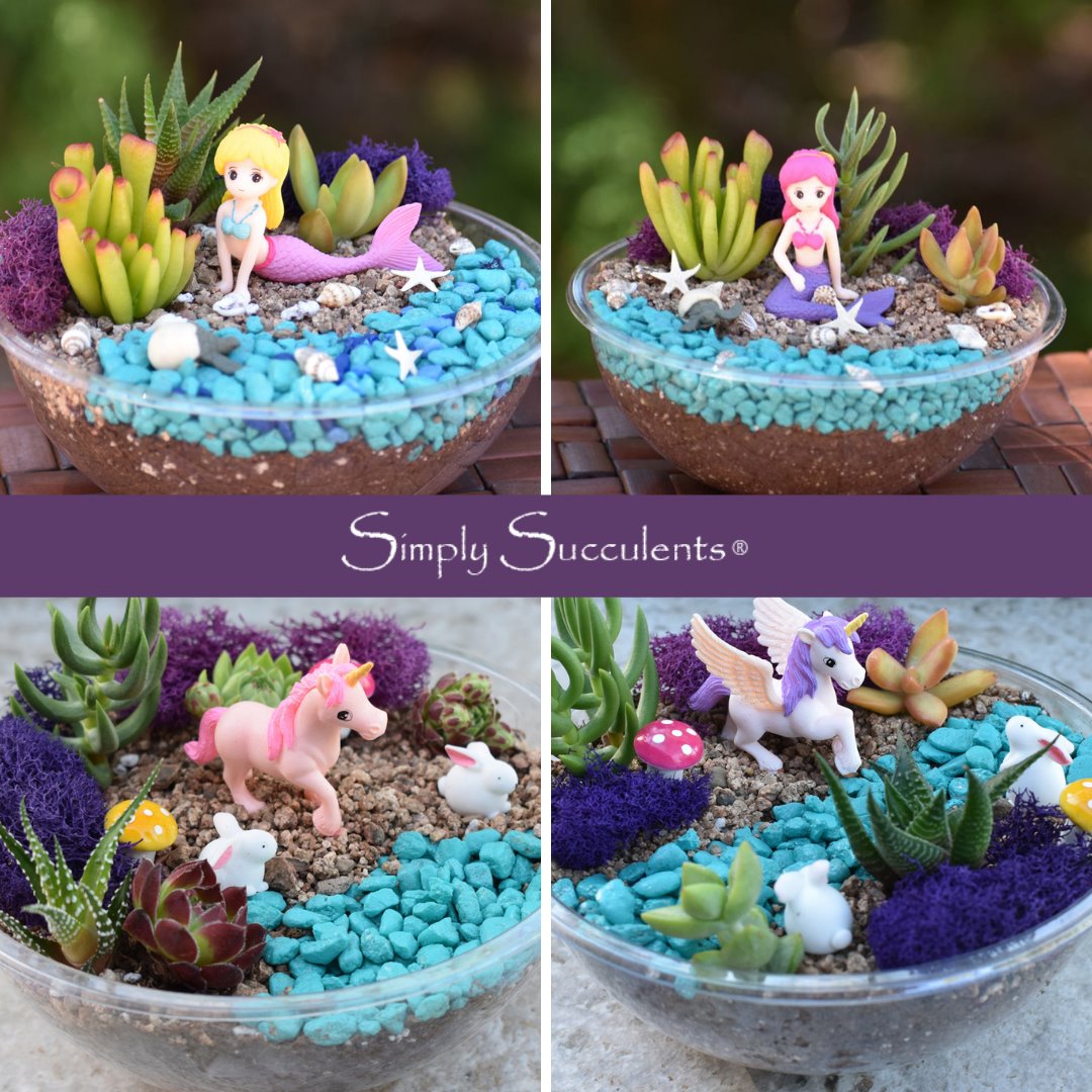 Mermaid's Oasis Kit