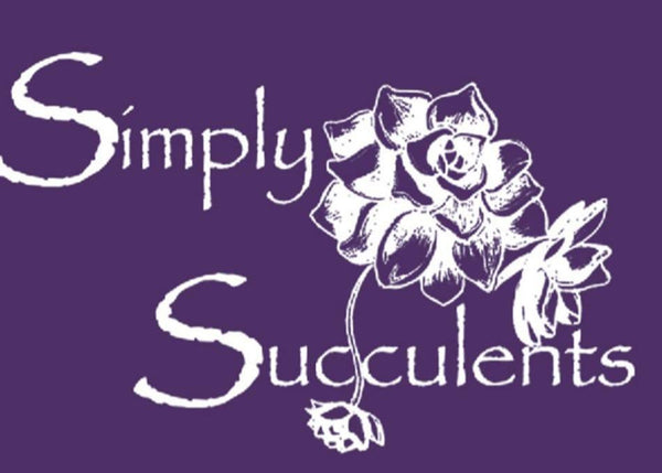 Simply Succulents AZ