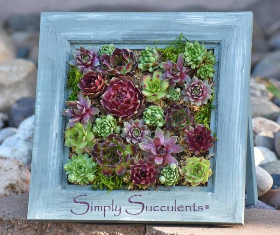Botanical Frame