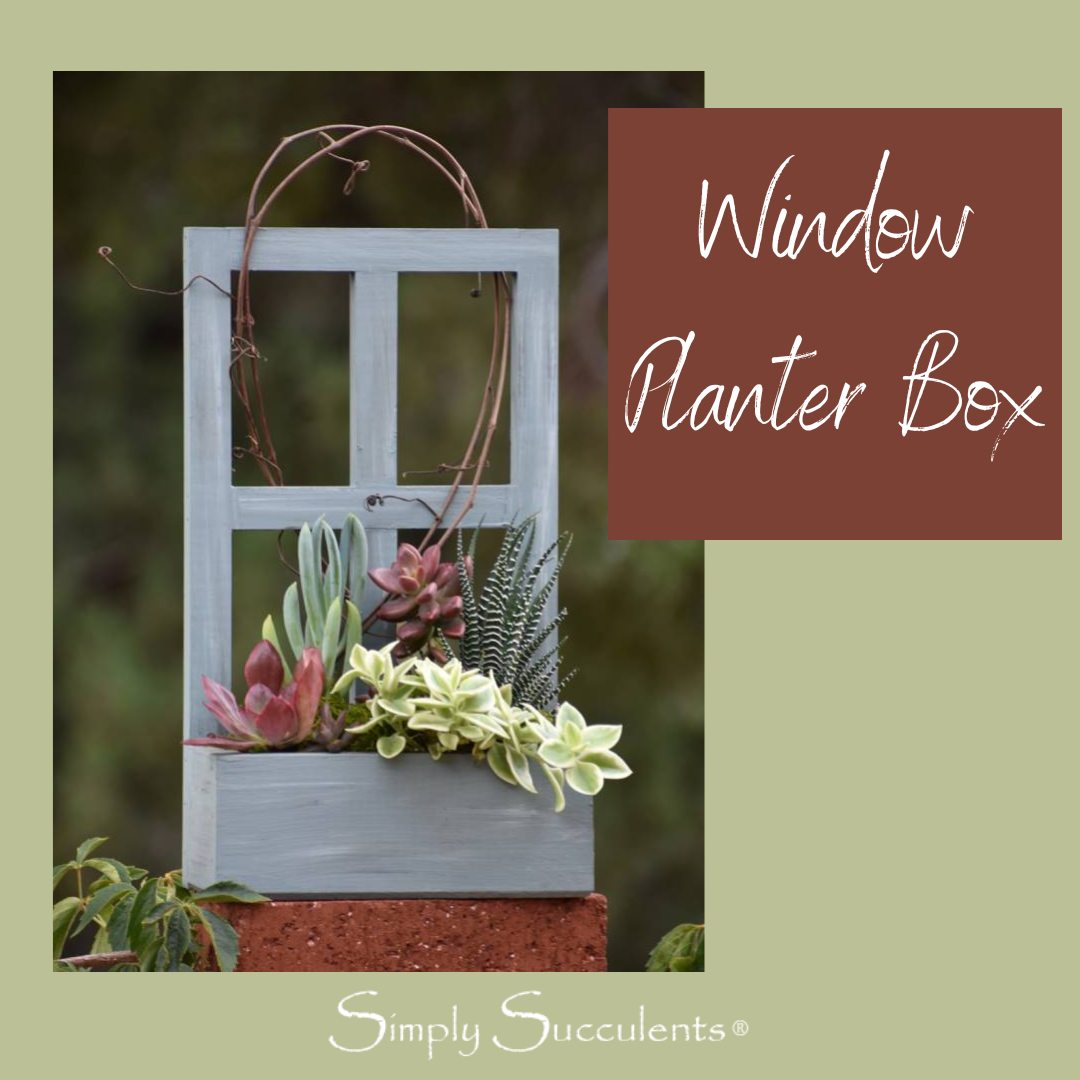 Garden View Planter